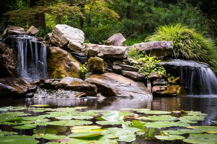 Botanical Gardens at UNC Charlotte